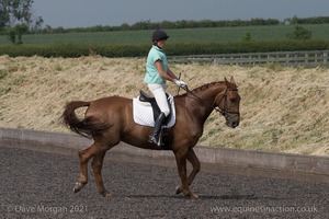 ISIS Dressage Challenge 2008